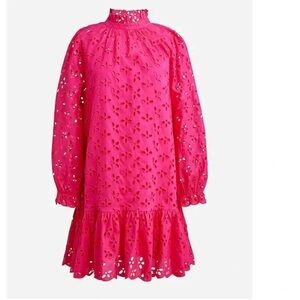 J.Crew Pink Ruffleneck Long Sleeve Eyelet Dress Size L